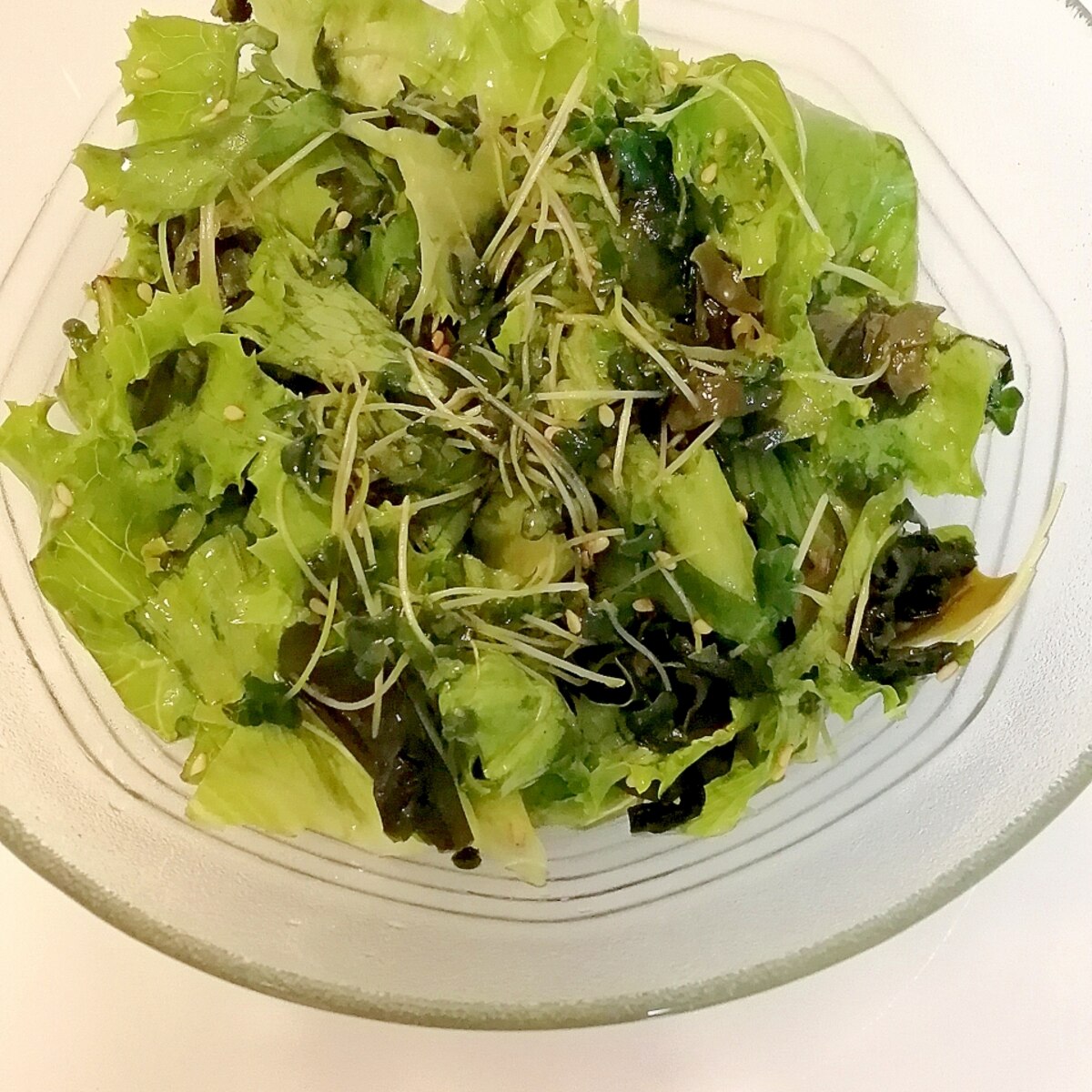 上 海藻肥料 作り方 上 海藻肥料 作り方